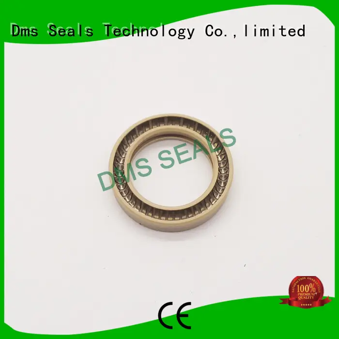 spring oring ptfe seal spring energized seals DMS Seal Manufacturer 1