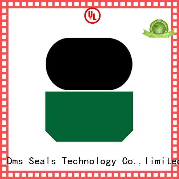 hydraulic ptfe rod rod seals DMS Seal Manufacturer 1