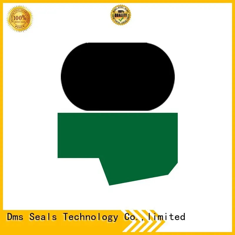 seal rod seals ptfe DMS Seal Manufacturer company 1