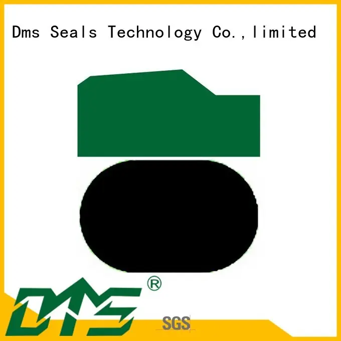 ptfe piston piston seals nbrfkm DMS Seal Manufacturer Brand 1