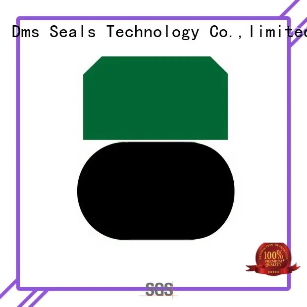 ptfe
 seal
 hydraulic
 seal oring OEM piston seals DMS Seal Manufacturer piston 1