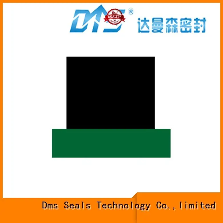 DMS Seal Manufacturer Brand seal ptfe hydraulic rod seals rod supplier 1