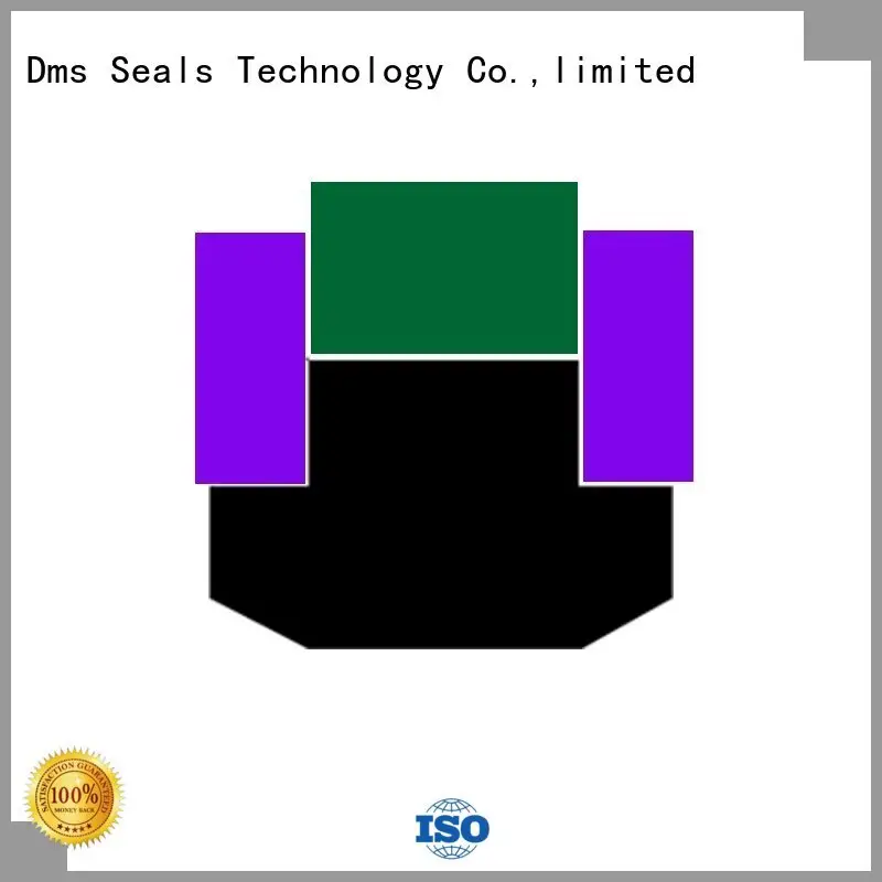 DMS Seal Manufacturer Brand hydraulic piston piston seals manufacture 1