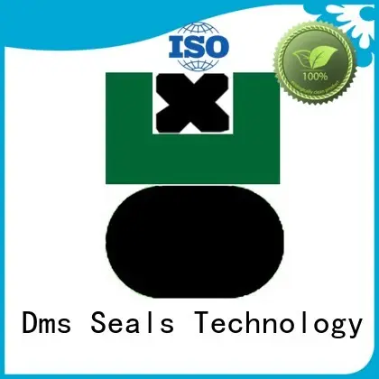 hydraulic ptfe oring pneumatic piston seals DMS Seal Manufacturer Brand 1