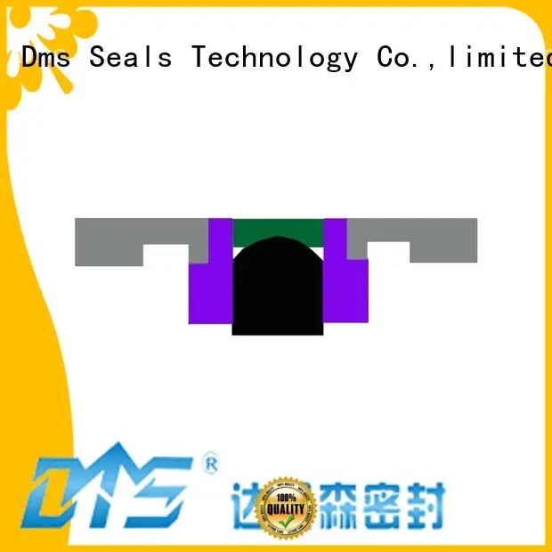 ptfe hydraulic nbrfkm pneumatic piston seals DMS Seal Manufacturer manufacture 1