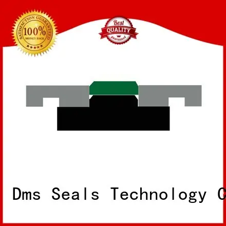 DMS Seal Manufacturer Brand hydraulic piston oring piston seals manufacture 1
