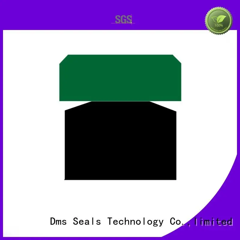 DMS Seal Manufacturer Brand seal ptfe piston seals oring factory 1