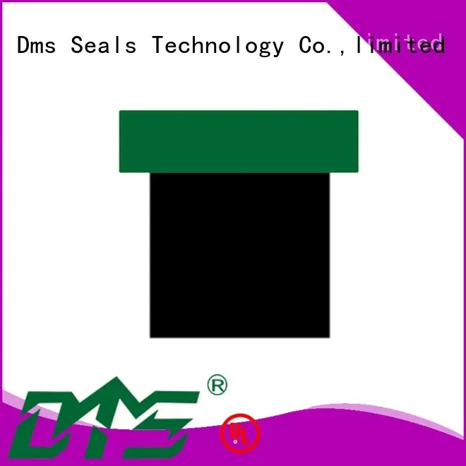 Quality DMS Seal Manufacturer Brand seal hydraulic piston seals 1