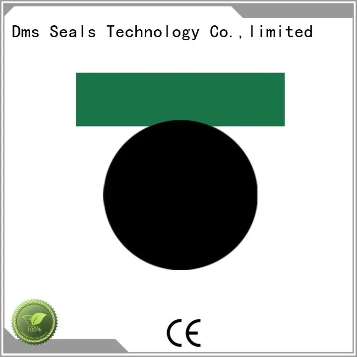 pneumatic piston seals hydraulic piston DMS Seal Manufacturer Brand company 1