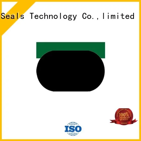 hydraulic piston ptfe piston seals DMS Seal Manufacturer Brand company 1