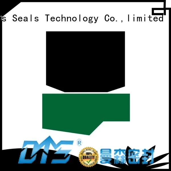 hydraulic rod seals rod seal hydraulic DMS Seal Manufacturer Brand company 1