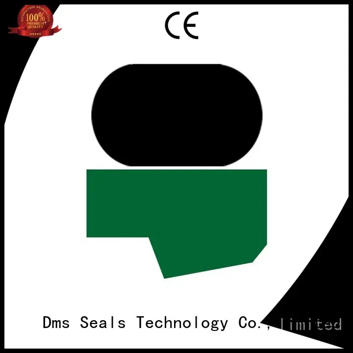 DMS Seal Manufacturer Brand nbrfkm oring hydraulic rod seals rod 1