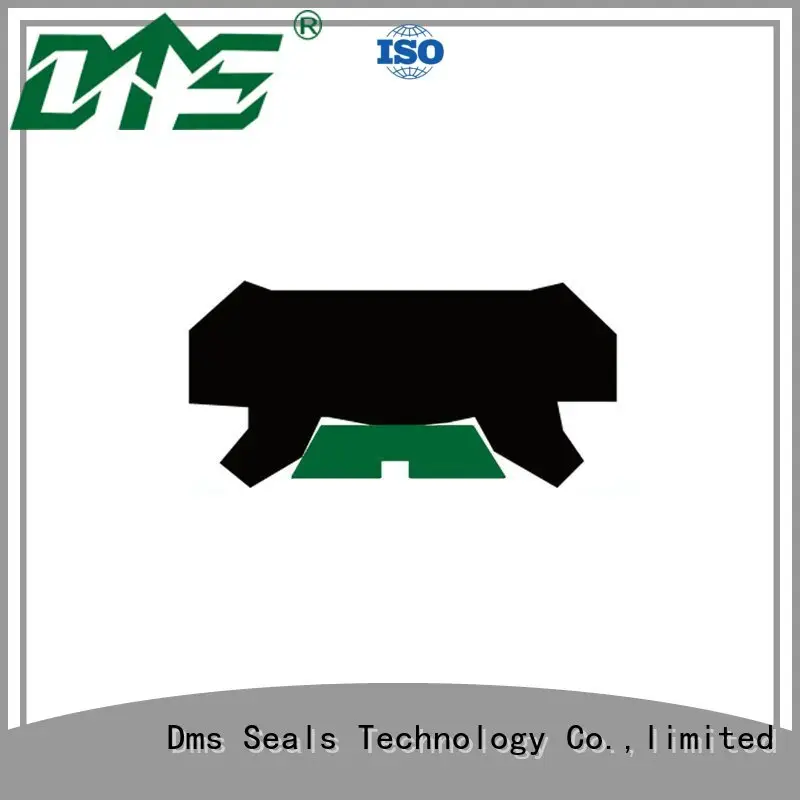oring ptfe hydraulic rod seals DMS Seal Manufacturer Brand 1