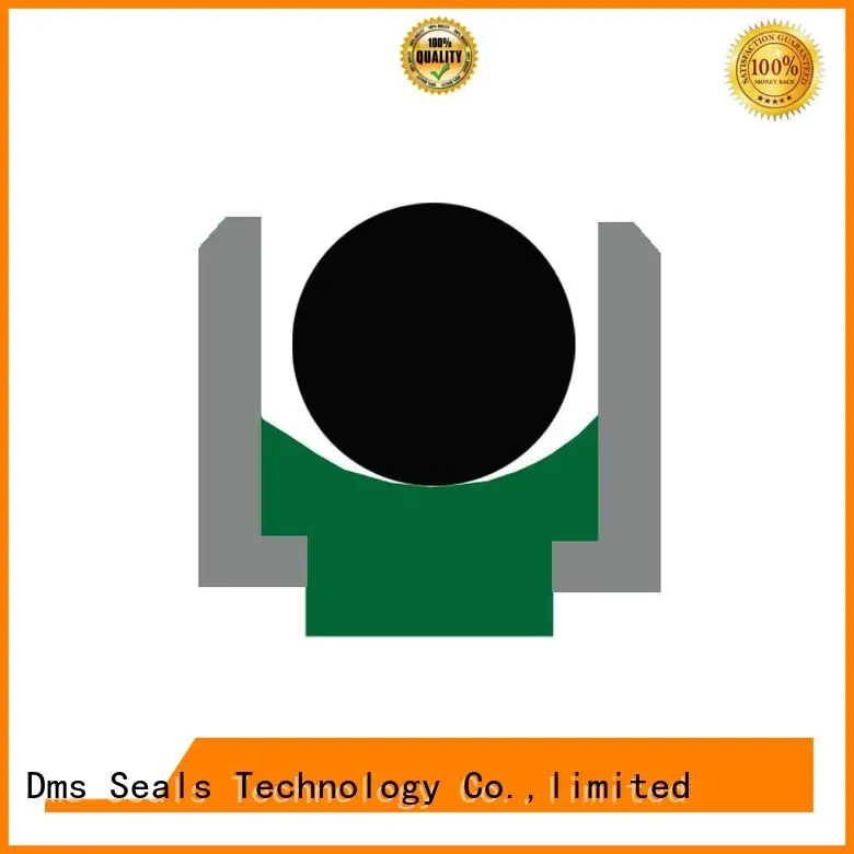 hydraulic rod seals ptfe nbrfkm rod seals manufacture 1