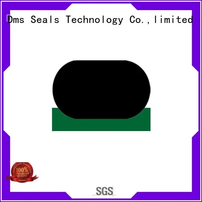 hydraulic rod seals seal oring DMS Seal Manufacturer Brand 1