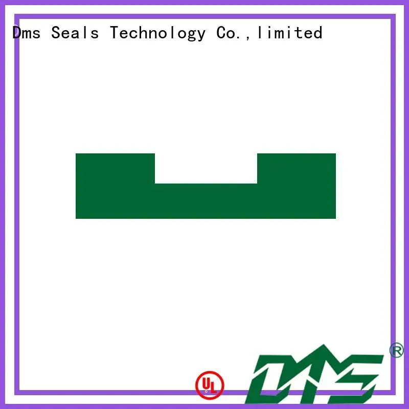 DMS Seal Manufacturer Brand ptfe bearing element hydraulic factory 1