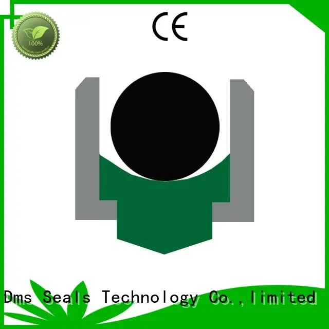 DMS Seal Manufacturer Brand ptfe nbrfkm rotary shaft seals hydraulic supplier 1