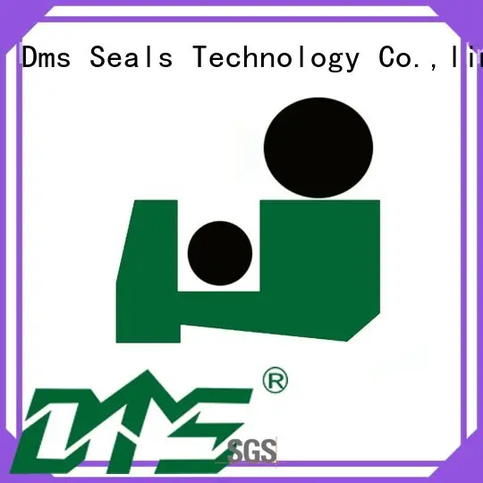 seal nbrfkm ptfe scraper seals DMS Seal Manufacturer Brand company 1