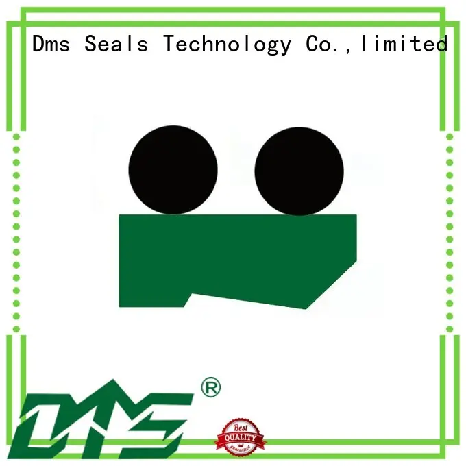 oring scraper seals seal DMS Seal Manufacturer company 1