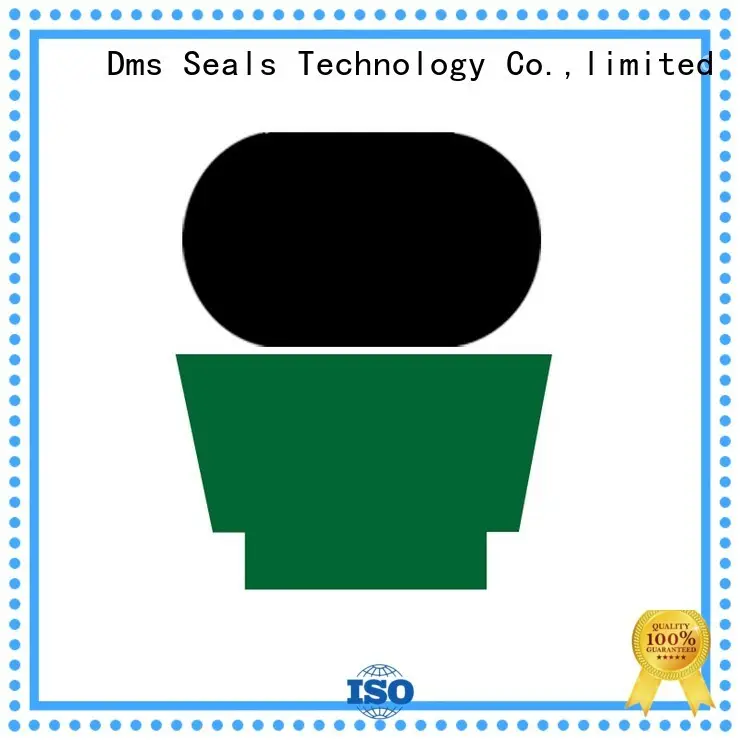 Quality DMS Seal Manufacturer Brand hydraulic rod seals rod nbrfkm 1
