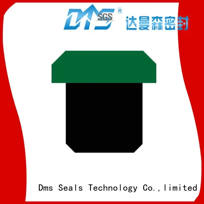 Quality DMS Seal Manufacturer Brand pneumatic piston seals piston 1