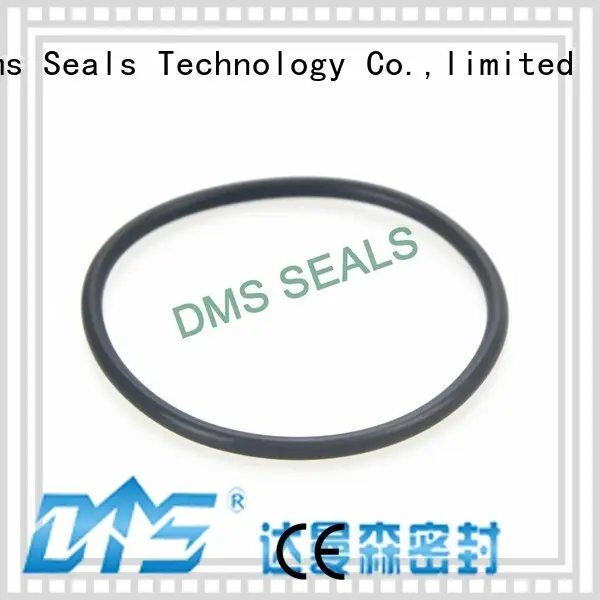 DMS Seal Manufacturer Brand ptfe seal hydraulic custom oil seal ring 1