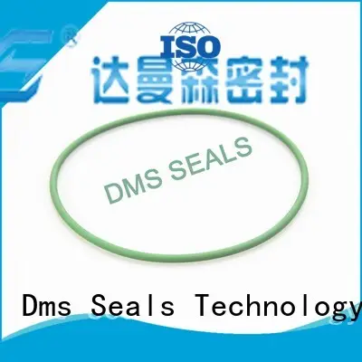 oring ptfe o-ring seal hydraulic spring DMS Seal Manufacturer company 1