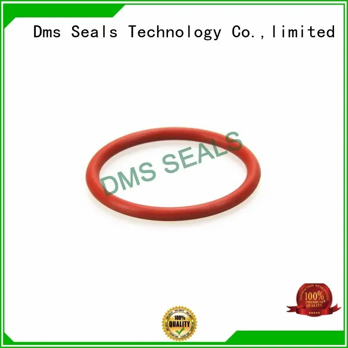 Quality DMS Seal Manufacturer Brand oil seal ring seal ptfe 1