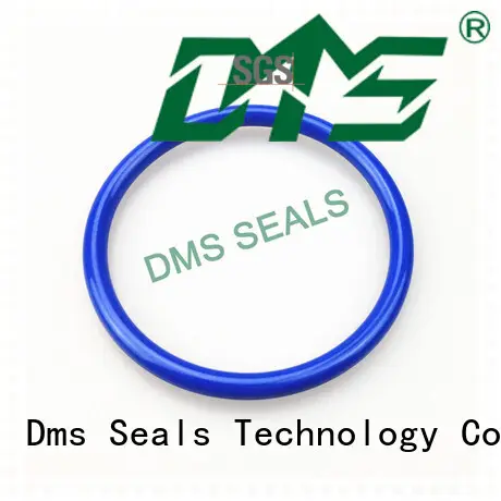 ptfe oil seal ring seal spring DMS Seal Manufacturer Brand 1