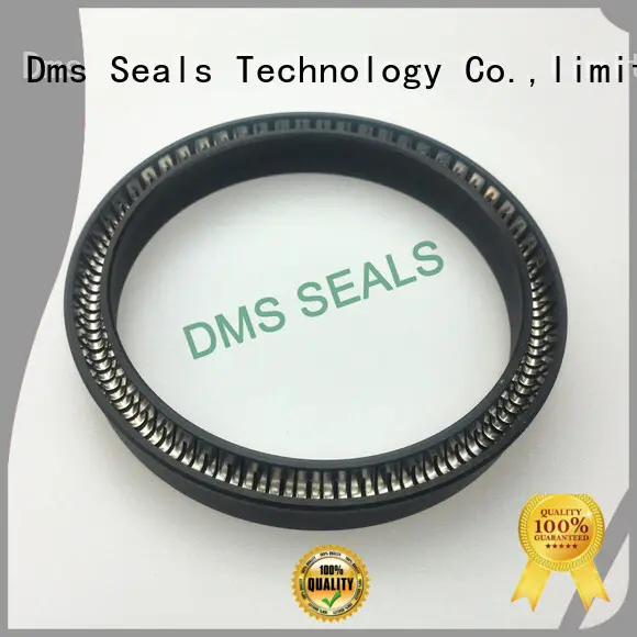 hydraulic oring ptfe spring energized seals DMS Seal Manufacturer 1