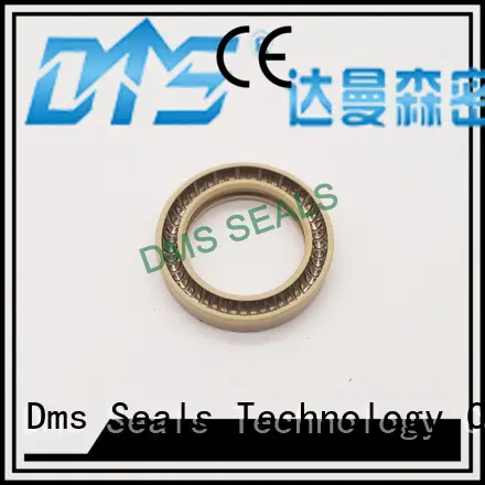 ptfe seal OEM spring energized seals DMS Seal Manufacturer 1