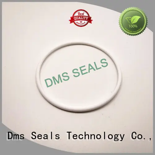 Custom ptfe o-ring seal seal DMS Seal Manufacturer 1