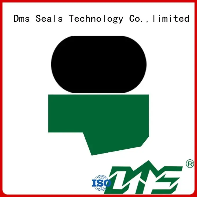 seal nbrfkm oring rod seals DMS Seal Manufacturer Brand 1