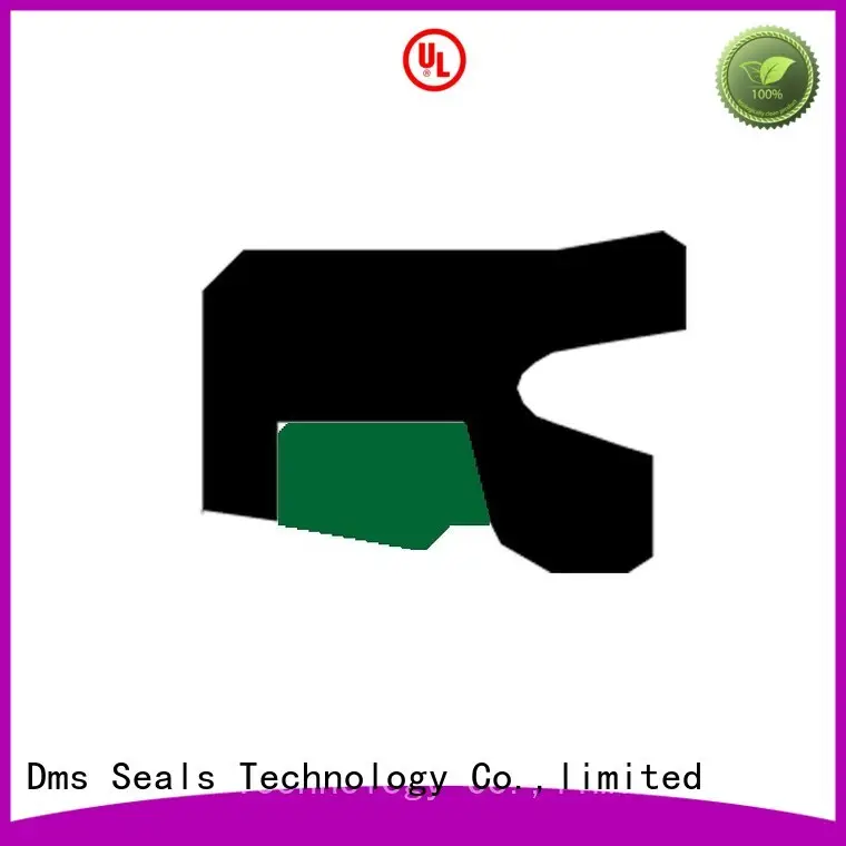 Hot rod hydraulic rod seals ptfe DMS Seal Manufacturer Brand 1