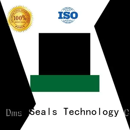 Hot seal hydraulic rod seals ptfe DMS Seal Manufacturer Brand 1