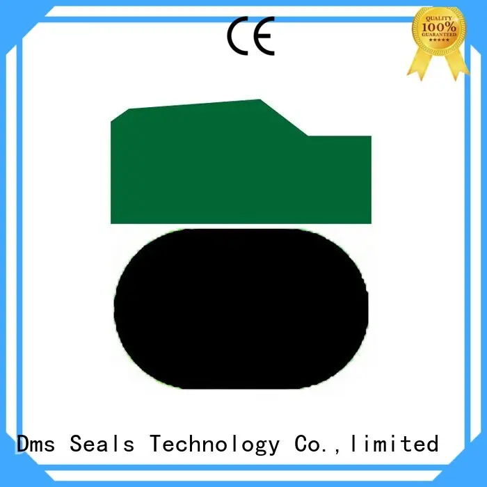 DMS Seal Manufacturer Brand hydraulic ptfe nbrfkm custom pneumatic piston seals 1