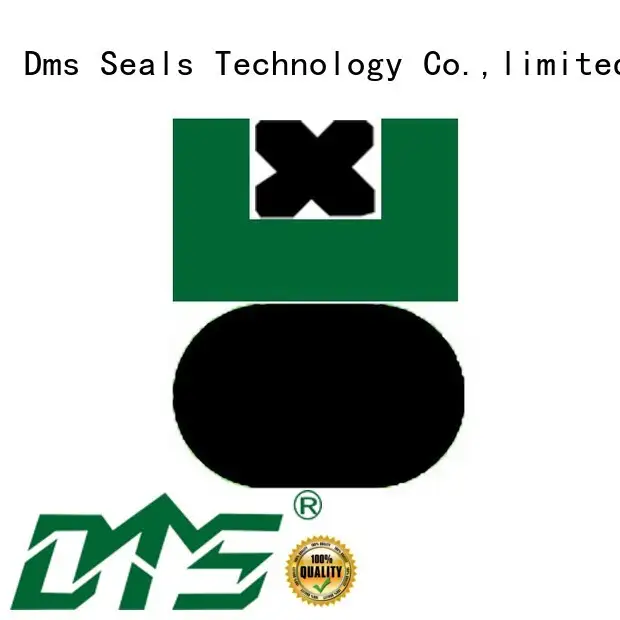 DMS Seal Manufacturer Brand ptfe hydraulic pneumatic piston seals nbrfkm supplier 1