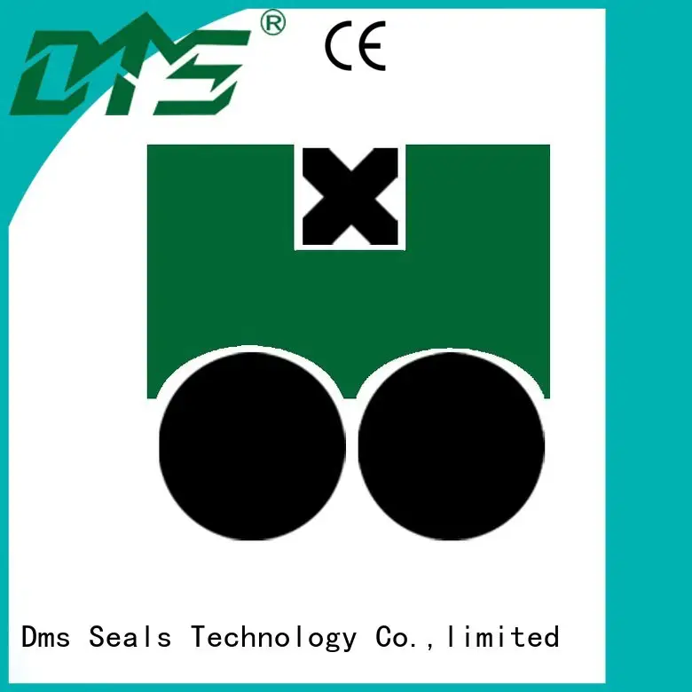 seal piston seals nbrfkm oring DMS Seal Manufacturer company 1
