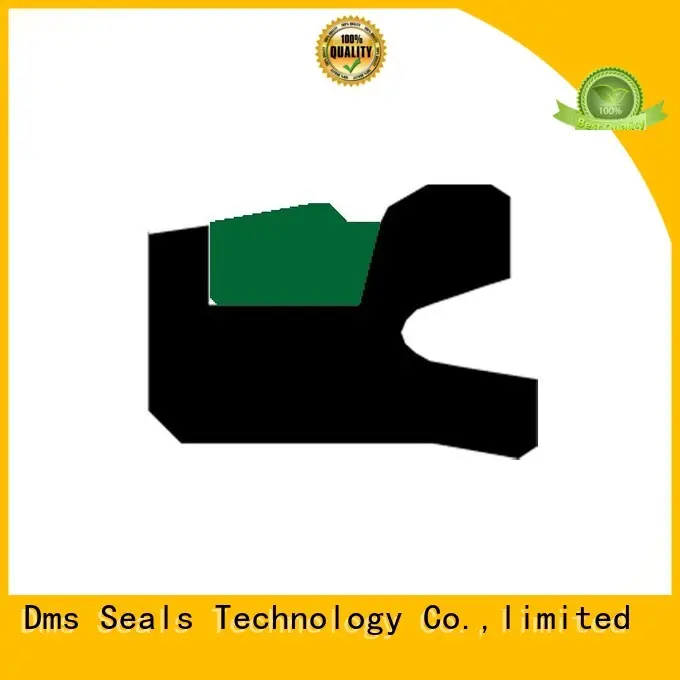 hydraulic ptfe nbrfkm oring pneumatic piston seals DMS Seal Manufacturer Brand 1