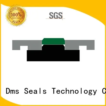 oring pneumatic piston seals seal DMS Seal Manufacturer company 1