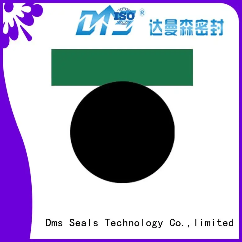 pneumatic piston seals seal piston oring Warranty DMS Seal Manufacturer 1