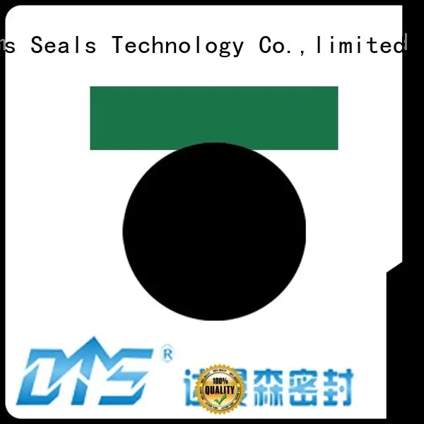 ptfe
 Quality DMS Seal Manufacturer Brand piston piston seals hydraulic 1