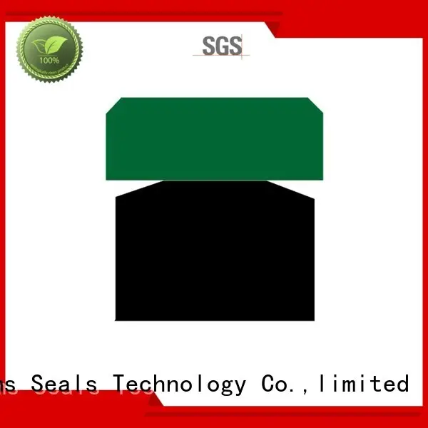 ptfe Custom seal oring piston seals DMS Seal Manufacturer nbrfkm 1