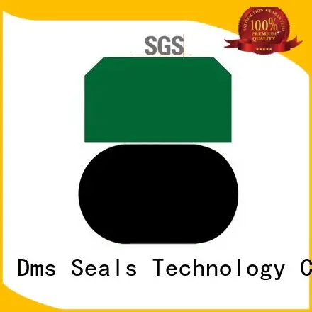 seal pneumatic piston seals oring DMS Seal Manufacturer company 1