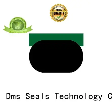 pneumatic piston seals ptfe seal piston seals DMS Seal Manufacturer Brand 1