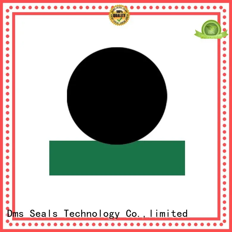 Quality DMS Seal Manufacturer Brand hydraulic rod seals oring rod 1