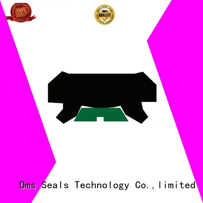 hydraulic Custom oring rod seals seal DMS Seal Manufacturer 1