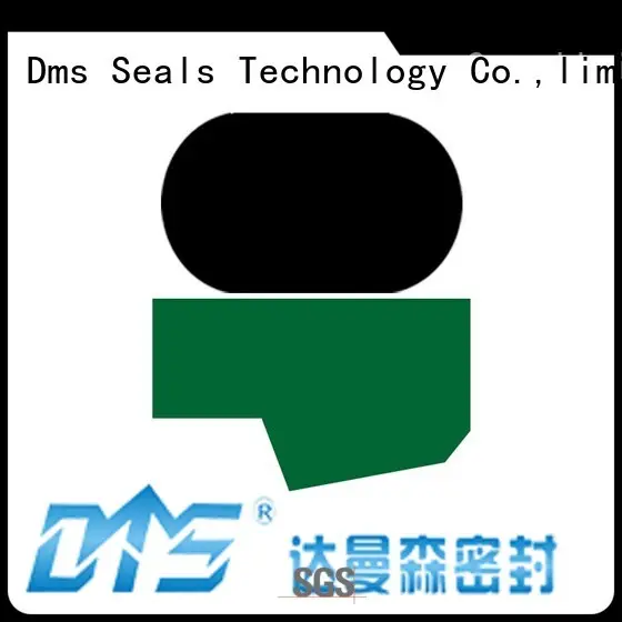 nbrfkm rod rod seals DMS Seal Manufacturer Brand 1