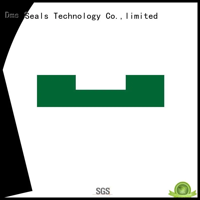 hydraulic oring element OEM bearing element DMS Seal Manufacturer 1