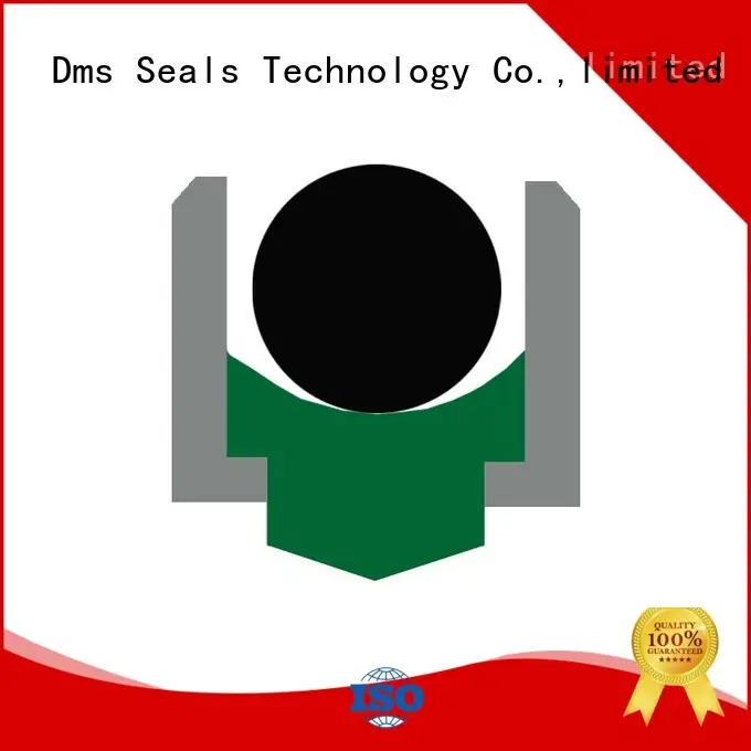 DMS Seal Manufacturer Brand hydraulic rotary ptfe rotary shaft seals nbrfkm 1